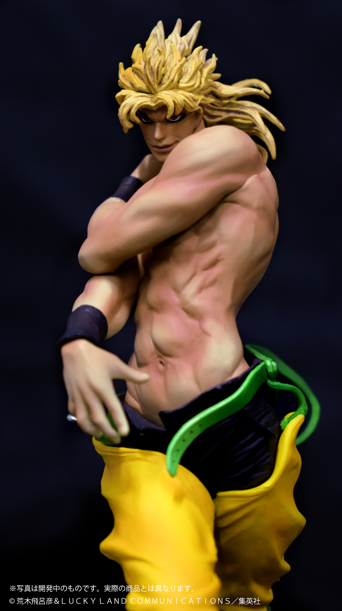 ジョジョ スターダストクルセイダース スタチューレジェンド 影