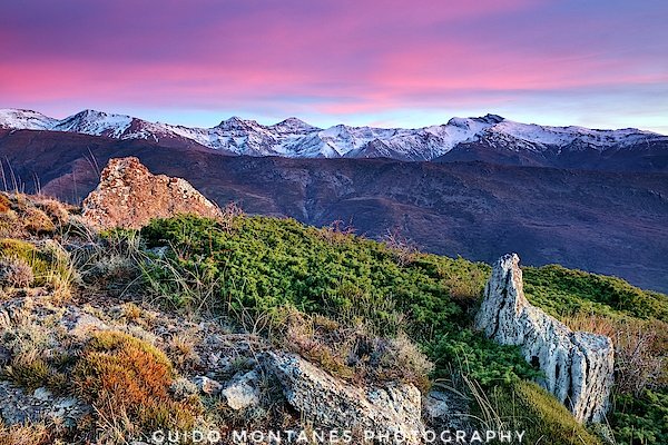 guidomontanes's tweet photo. Ayer al atardecer en Sierra Nevada. En la foto se ve la cuerda de los tres miles. Tajos de la Virgen, Veleta, Muhacen...
#photography #fotografia #sunset #landscapephotography #clouds #landscaping #SierraNevada  #mountains #red #Granada #vine #mountain #purple #sunrise https://t.co/7FU5ezxdrV