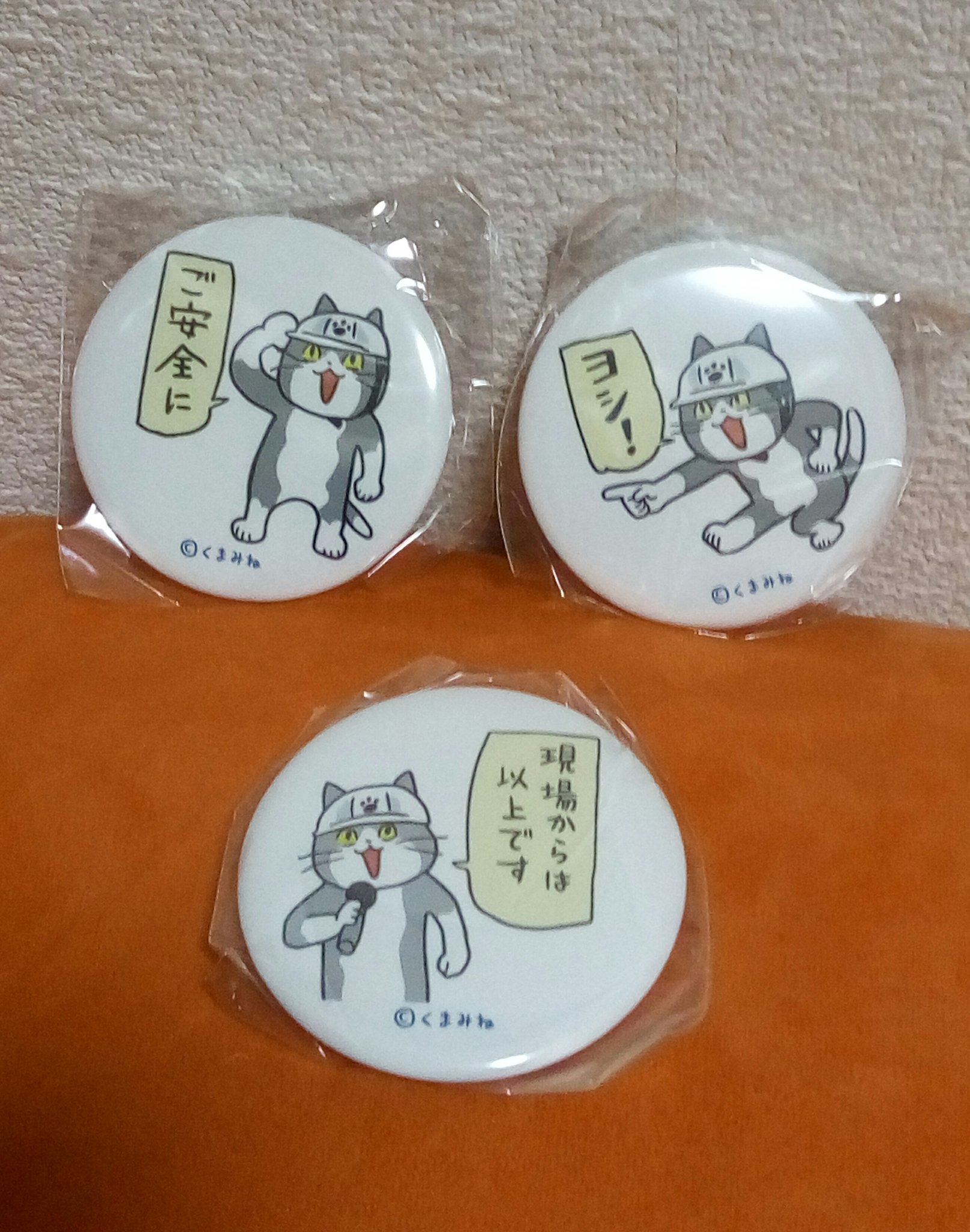 からあげのるつぼ そういや イオンの現場猫パネルガチャ回して缶バッジgetです あとこれとは別で缶バッジガチャもあり そちらは一回り大きいサイズでした もったいなくてカバンにつけられない 現場猫 T Co 2eoqxavv Twitter