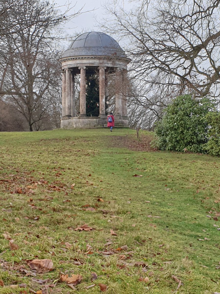 shrabanibasu_'s tweet photo. The #rhododendrons have already started blooming. Yesterday at #PetworthHouse gardens. @nationaltrust #WestSussex #mildDecember #ClimateChange https://t.co/3JTiWsLX3T