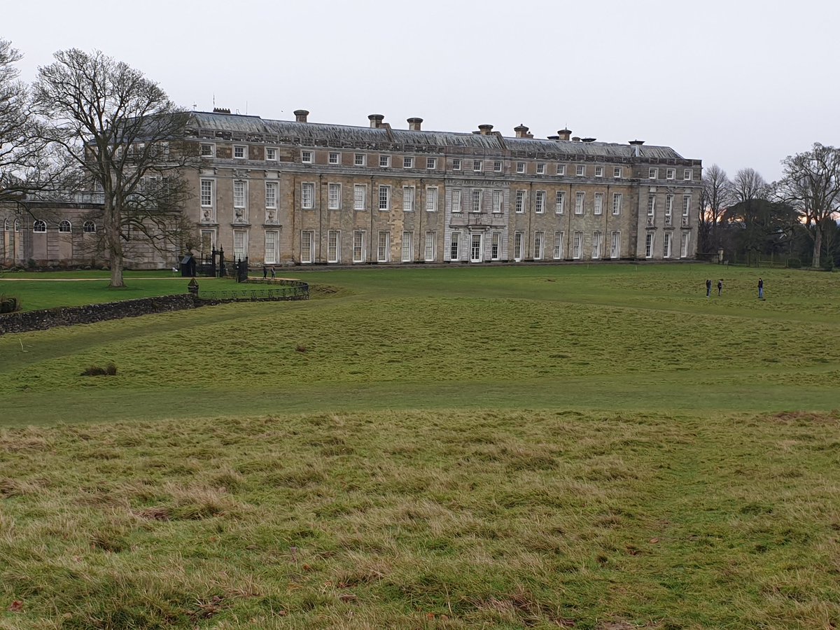 shrabanibasu_'s tweet photo. The #rhododendrons have already started blooming. Yesterday at #PetworthHouse gardens. @nationaltrust #WestSussex #mildDecember #ClimateChange https://t.co/3JTiWsLX3T