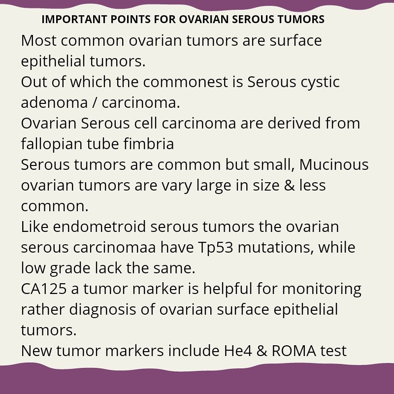 path_logos's tweet photo. πSummary of important points for ovarian surface epithelial tumors
.
.
.
Follow @path_logos on instagram for more.
.
.
#Pathology #Pathlogos #usmle #usmlestep3 #usmlestep1 #usmlestep2 #clinical #obstetrics #health #tumor #cancer #clinical #doctor https://t.co/YeZtRDu9wm