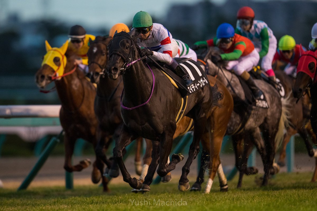 町田 悠至 Yushi Machida 19 12 28 ファイナルステークス エイティーンガール 武豊 19年中央競馬の締めは このお方 Legend Yutaka でした 武豊 Yutakatake エイティーンガール ファイナルステークス 阪神競馬場 競馬 Jra Horseracing