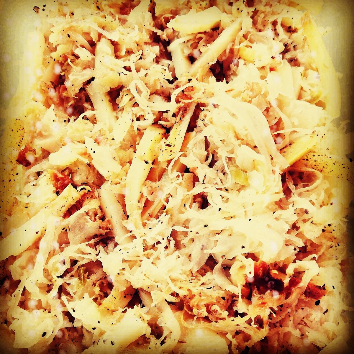 Coucou les Vévévores ! Aujourd'hui c'est choucroute (mais pas que...)😊😁🤤

#vegan #hotdogs #Toulouse #streetfood #jardindesplantes #junkfoodvegan #vegetalien #bio