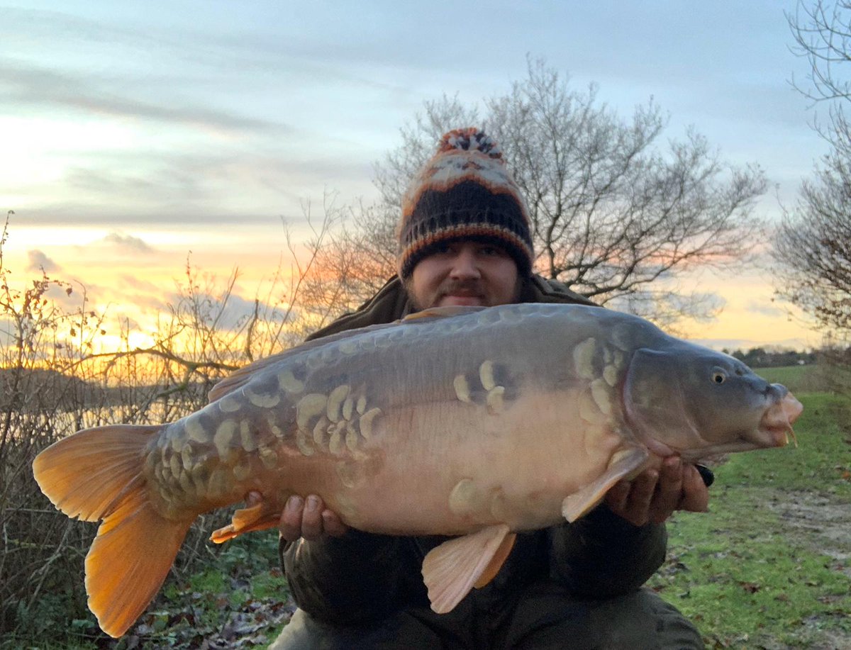 incrediblebaits's tweet photo. Connor Phillips with this awesome Cold water 21lb mirror. Caught on a evening on a white ID3 wafter in a solid pva bag. #incrediblebaits #ID3 #wafter #solidbags #pva #boilies #popups #pellets #bait #carp #carpfishing #fishingbait #fishing #carpy #cold #winter #evening https://t.co/ZWfOQnLSyI