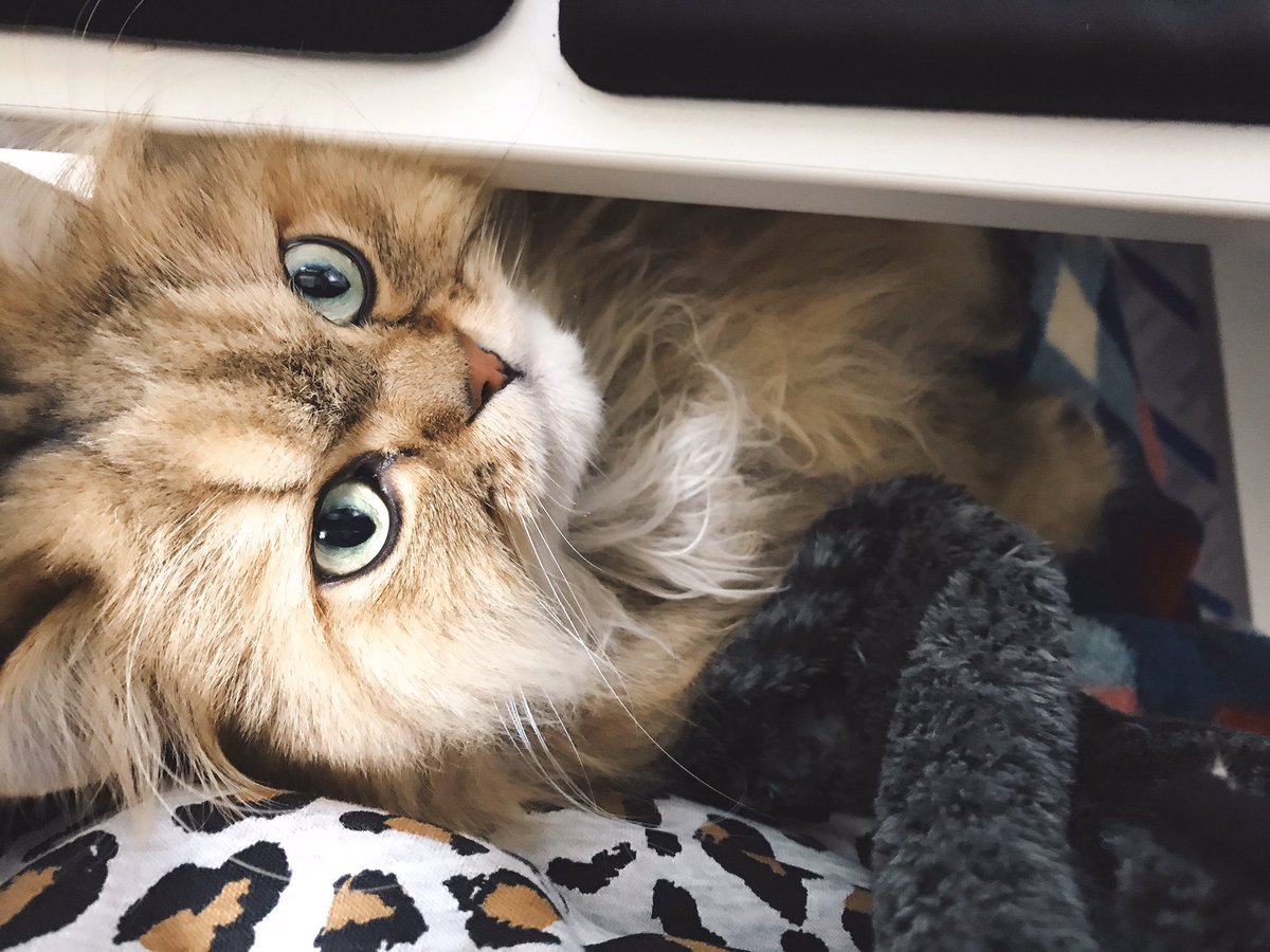 Barbrities バーバリティース 36話の扉絵とその線画 線画まではアナロ 鈴木ツタ Barbarities 発売中の漫画