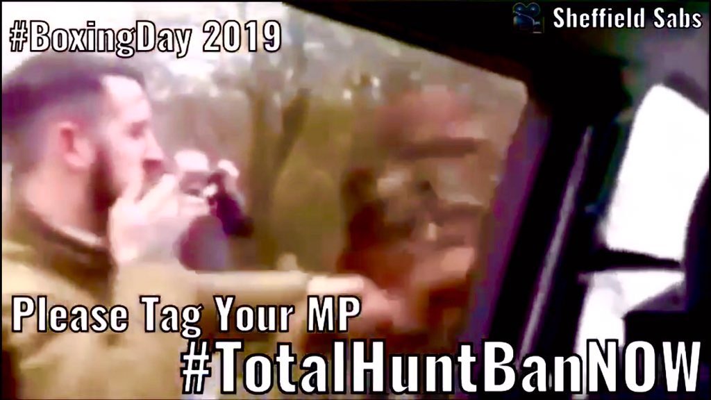Labour4Animals's tweet photo. @AngelaRayner @AngelaRayner itโs not enough to #KeepTheBans as hunts are chasing and killing with impunity day in day out via #TrailHuntLies & #ToryMPsAtHunts. We need a #TotalHuntBanNOW MPs Peers #StrengthenTheBan ๐ Police #EnforceTheBan and also Boris #GetTheBanDone ๐ฆ#LAWS4Animals ๐น https://t.co/nw8Id6Kn9r