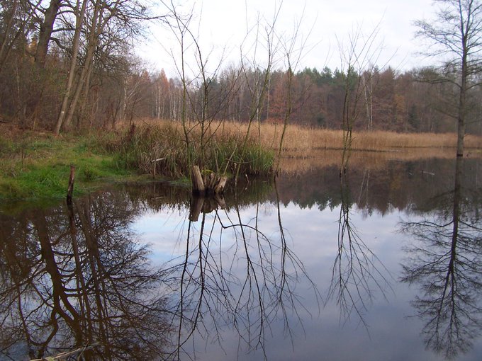marmottewandern's tweet photo. #Tageswanderung Chorin (Berliner Umland) 05.01.2020   https://t.co/m2hxjQpeVb   #Frauen #Berlin #Wandern #Brandenburg #marmotte #wanderreisen #Chorin #Barnim #marmottewandern #wanderlust #bewegung #wandergruppe #natur #naturerlebnis #MarmotteWanderreisen #Amtssee #klosterchorin https://t.co/wOsVxACjJE