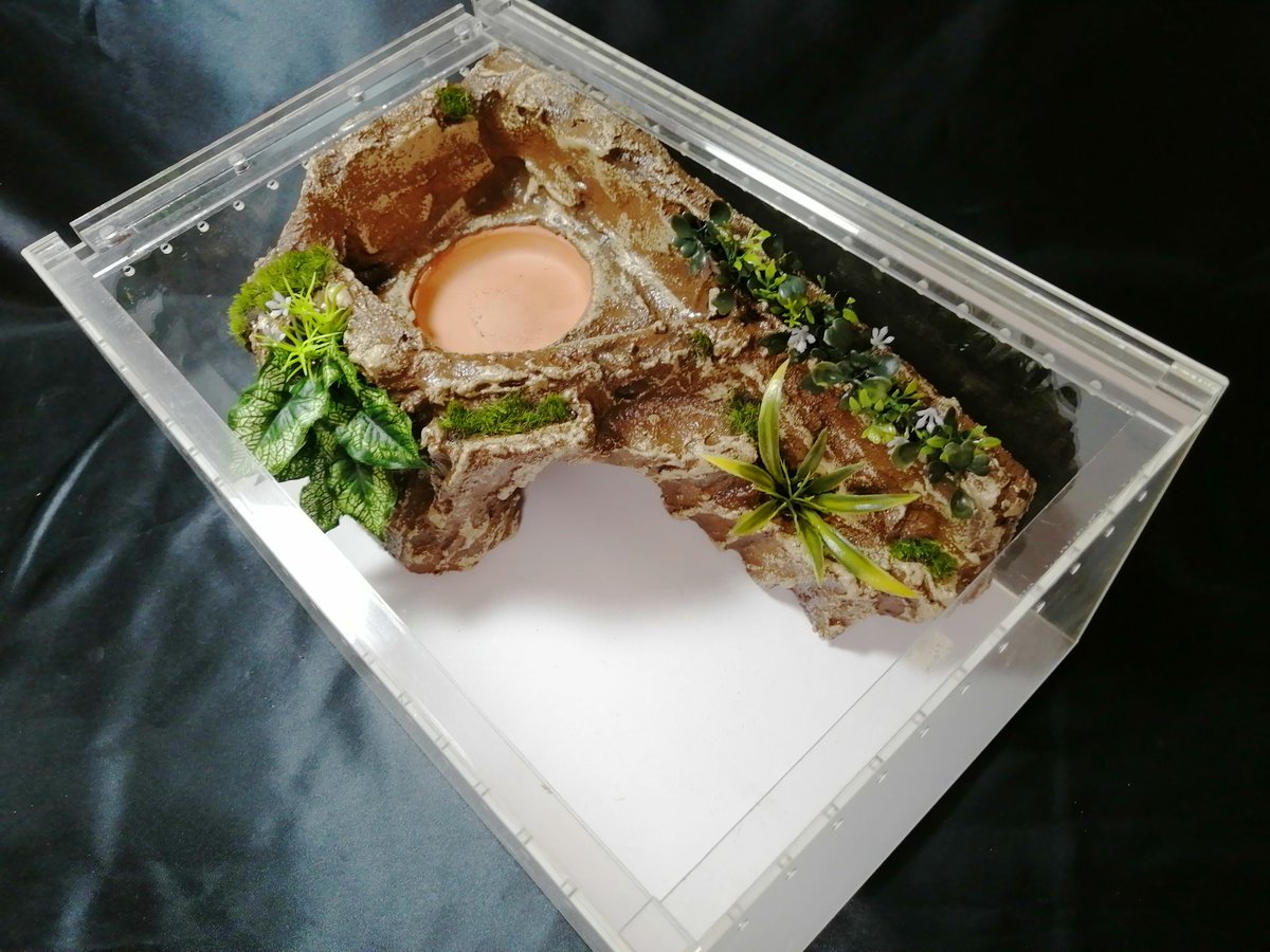 Iy0aAILRggs1XgM's tweet photo. 【プレゼント企画】
一点だけで申し訳ないのですが、フォロワー1000名様を越えましたのでプレゼント企画をさせて頂きます。
色々応募方法を考えたのですが、めんどくさくなったのでありがちな応募方法とさせて頂きます。

【応募方法】
・フォロー
・リツイート

公平性を保つ為、抽選アプリ使います。 https://t.co/BbXie9Y0Jb