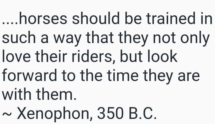 b.a (@b1962a) on Twitter photo 