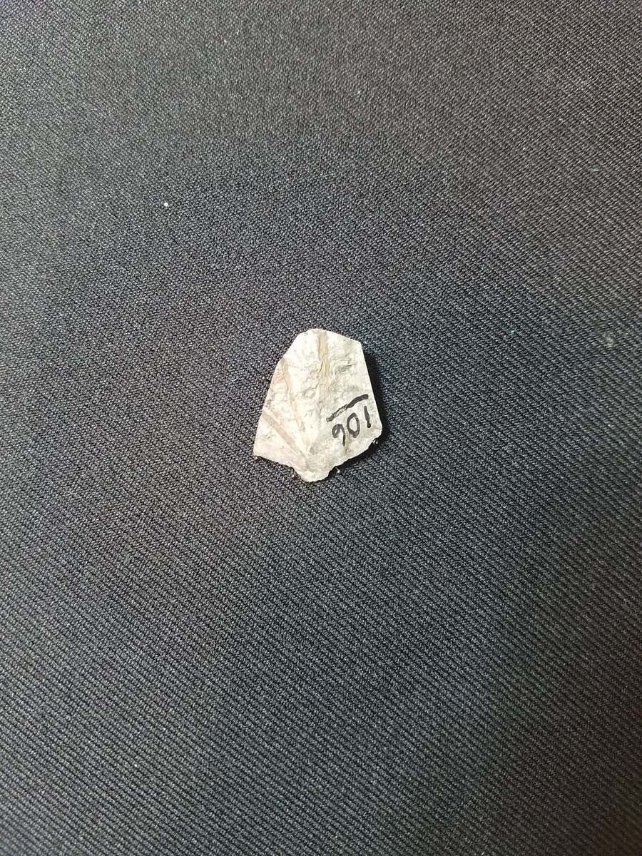 Just_A_MN's tweet photo. Put a new object on display in the visible lab @sciencemuseummn! This one is both archaeology and paleontology. Special thanks to @Dr_CrocoGator for teaching me about the fossil in this lithic piece!

#ShareYourDiscovery #SMMAnthroDept #archaeology #MNArchaeology https://t.co/JDEprmf8BT