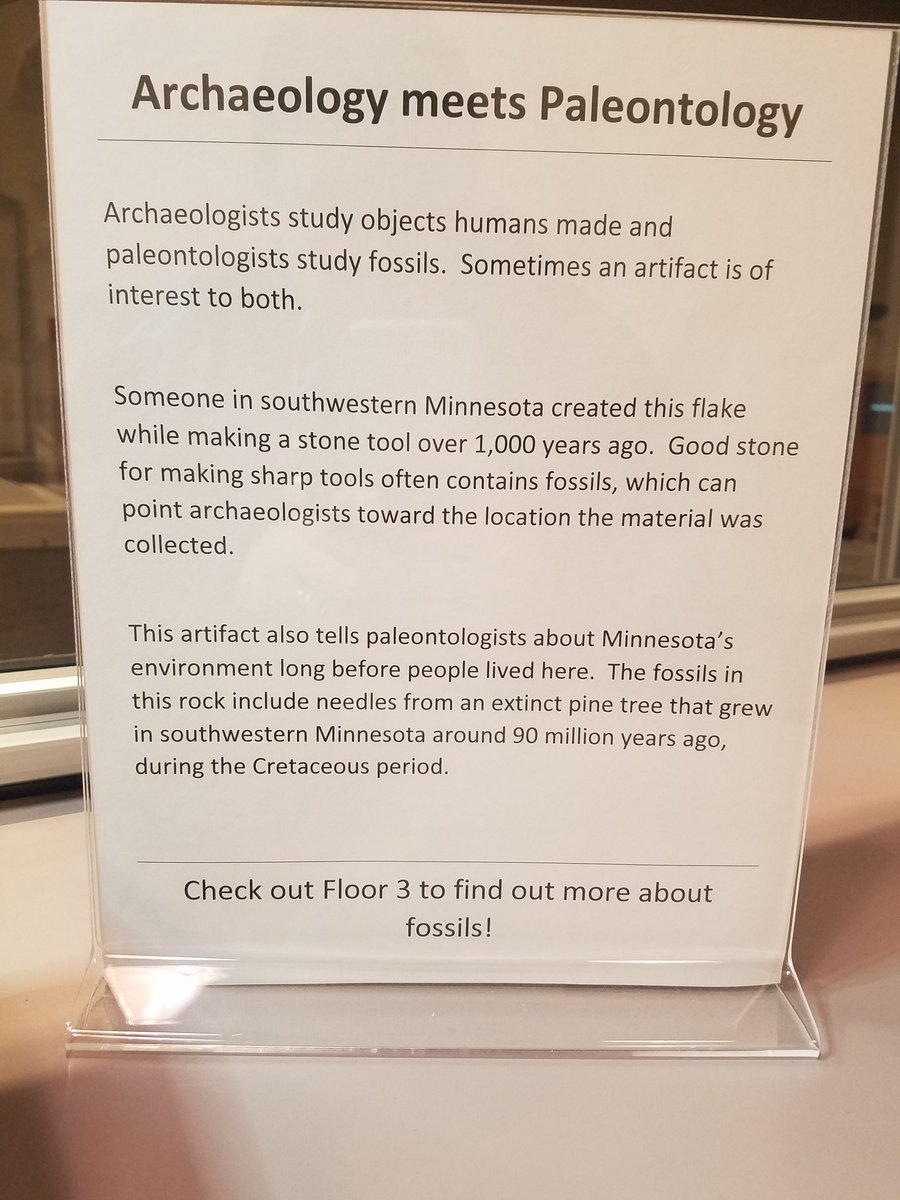 Just_A_MN's tweet photo. Put a new object on display in the visible lab @sciencemuseummn! This one is both archaeology and paleontology. Special thanks to @Dr_CrocoGator for teaching me about the fossil in this lithic piece!

#ShareYourDiscovery #SMMAnthroDept #archaeology #MNArchaeology https://t.co/JDEprmf8BT