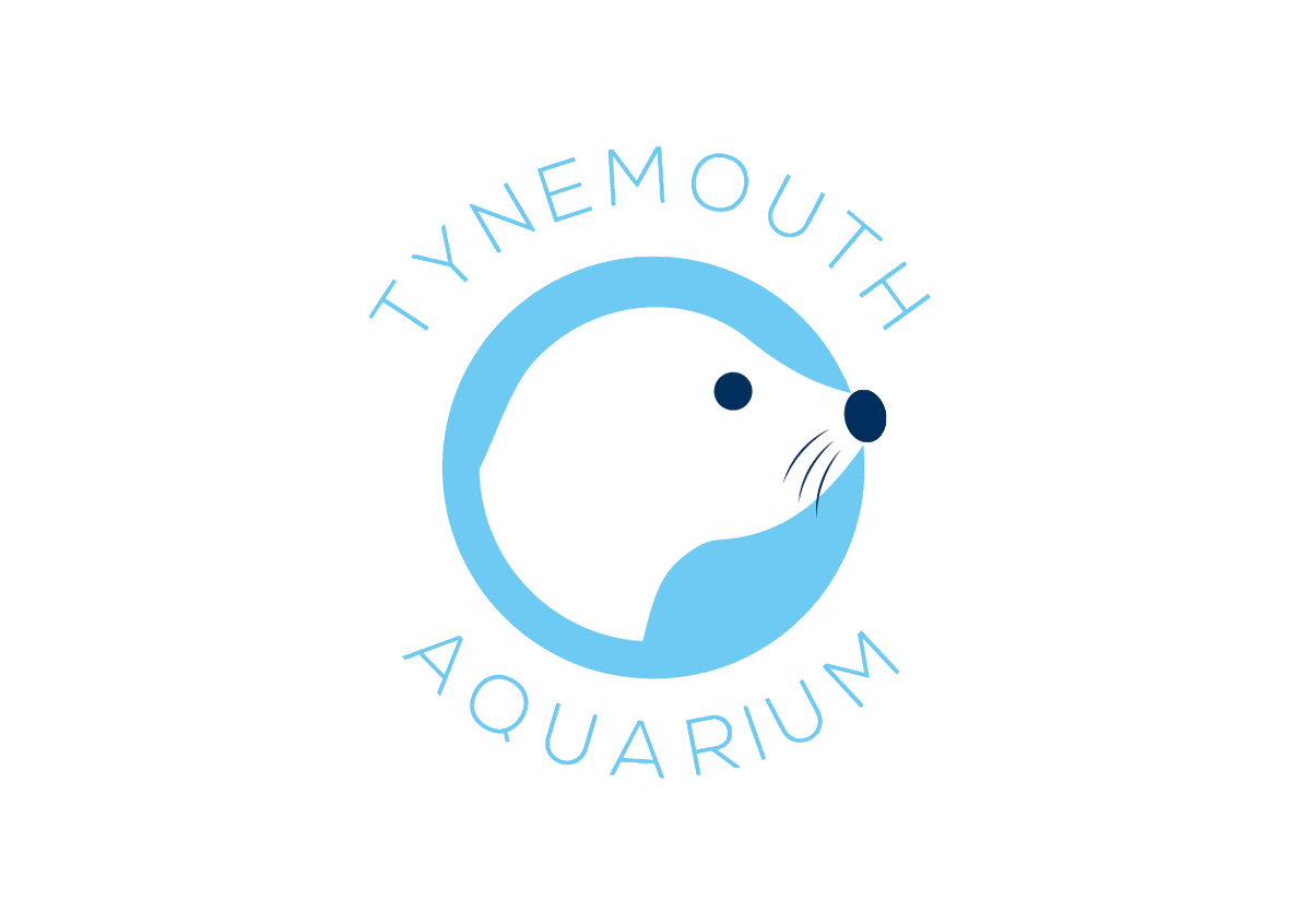 Tynemouth Aquarium tweet media