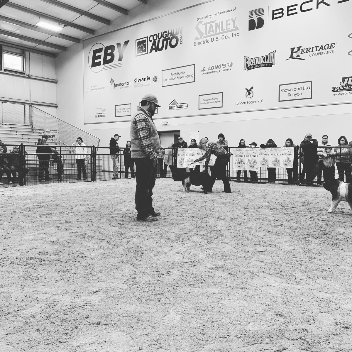 InItToEndItPig1's tweet photo. Ring B has started with our judge Ben Bobell from Lincoln  IL. Ben studied  at Black Hawk East and Iowa State University. Ben works for Cargill as the business development manager. Ben and his wife Hailey are raising three beautiful young ladies Ella, Claire and Alex. https://t.co/2fIra6GZEF