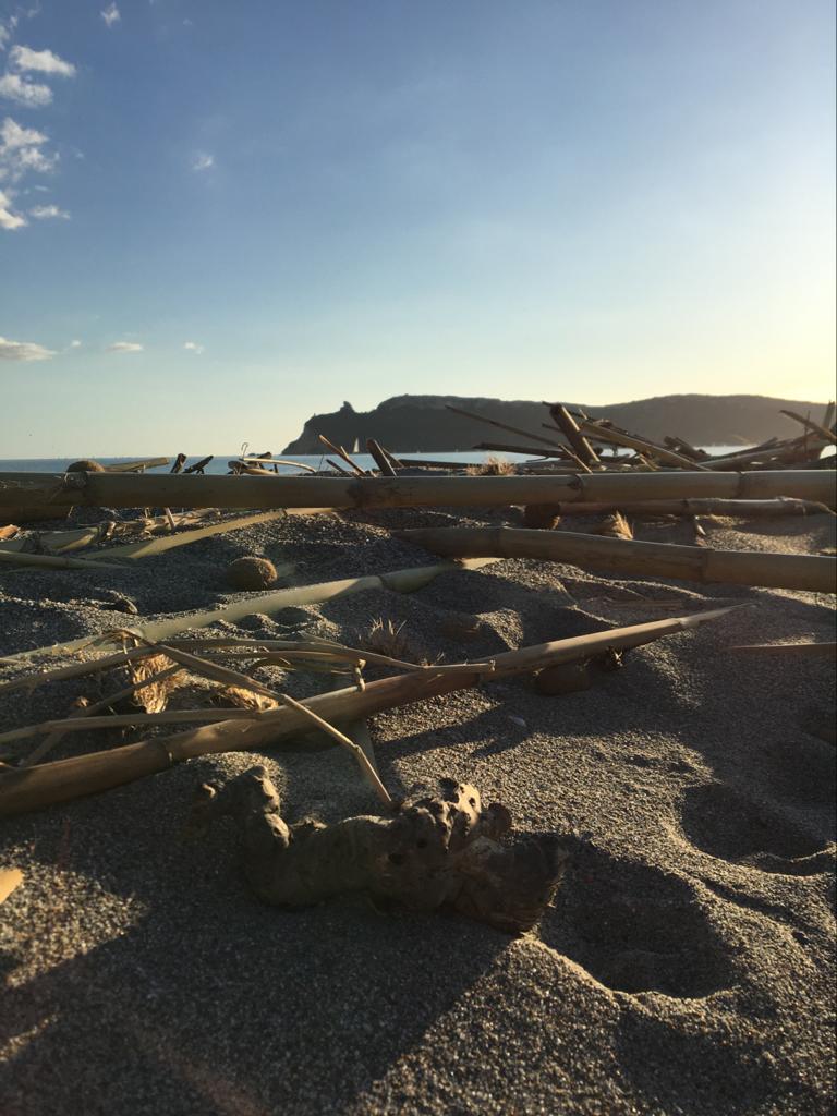 Prof_ssaCarta's tweet photo. Il Poetto di #Cagliari https://t.co/8hp8NJo1yp