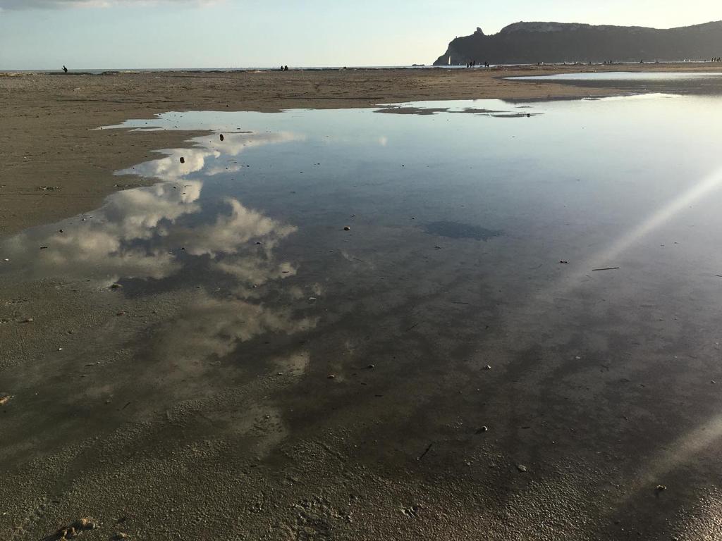 Prof_ssaCarta's tweet photo. Il Poetto di #Cagliari https://t.co/8hp8NJo1yp