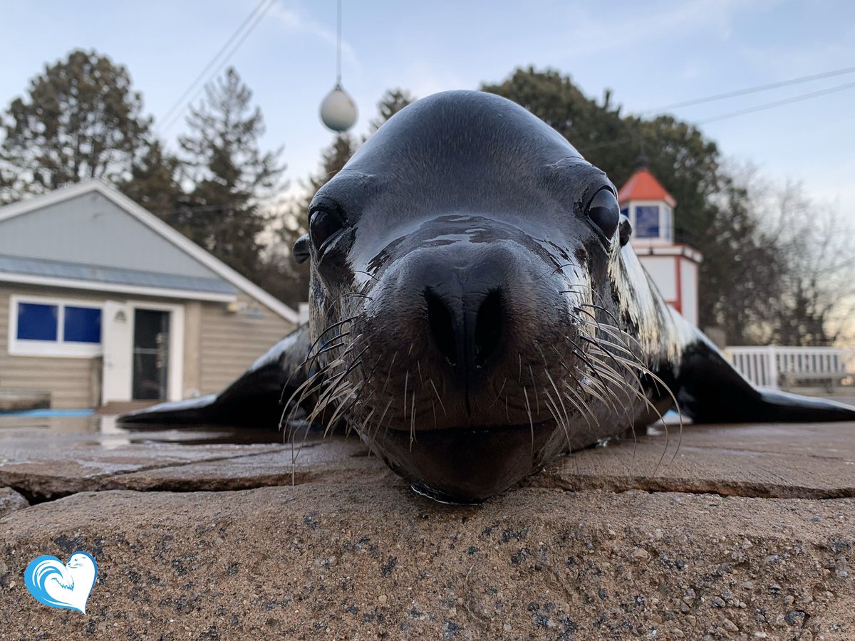 TheOceansTeam's tweet photo. Here’s a little bit of Colby cuteness to brighten up your Saturday! https://t.co/LUJSGmguWv