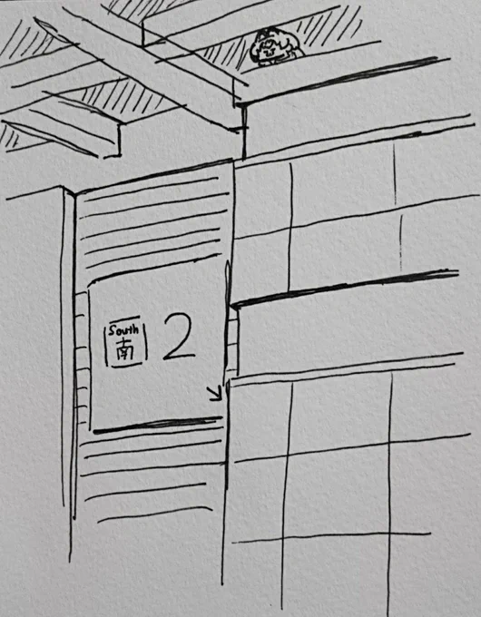 南2ホールの天井に何かいる 
