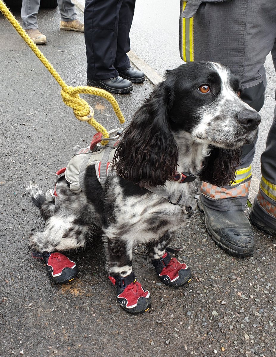 Over this Christmas week we have attended 3 separate fatal house fires. If your out bargain hunting this weekend make sure you have the bargain that could save your life #smokealarmsavelives