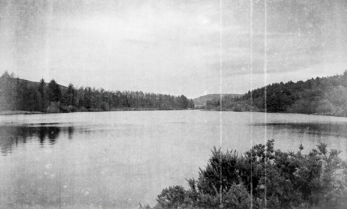 SJFTremoribus's tweet photo. The shadowline where land and water entwine as one, no longer truly visible as separate states, suspended and conjoined by the dark mists between, is a place of true dreaming, far memory and deepest vision. Eyes beneath the water and whispers on the wind... @HooklandGuide https://t.co/SSwuEAJPgp