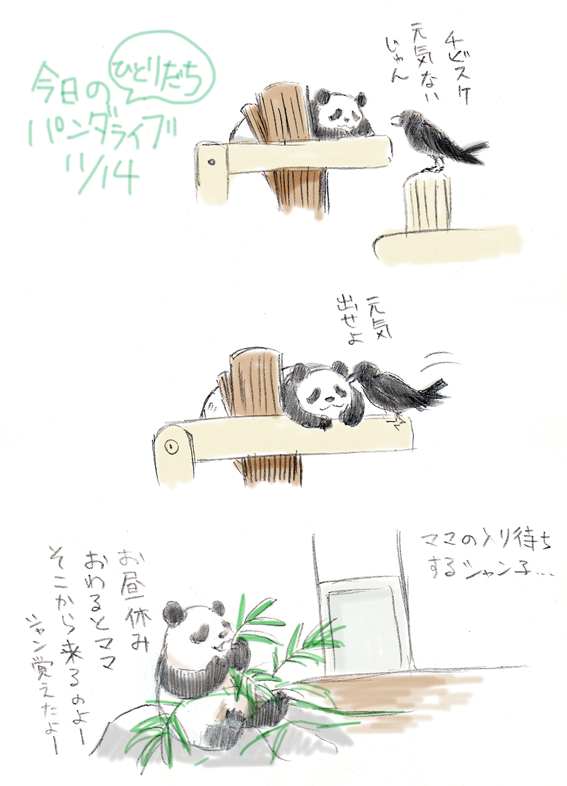 おやすみ前にまだ上げるパンダライブの思い出
みんなで見守った独り立ち 