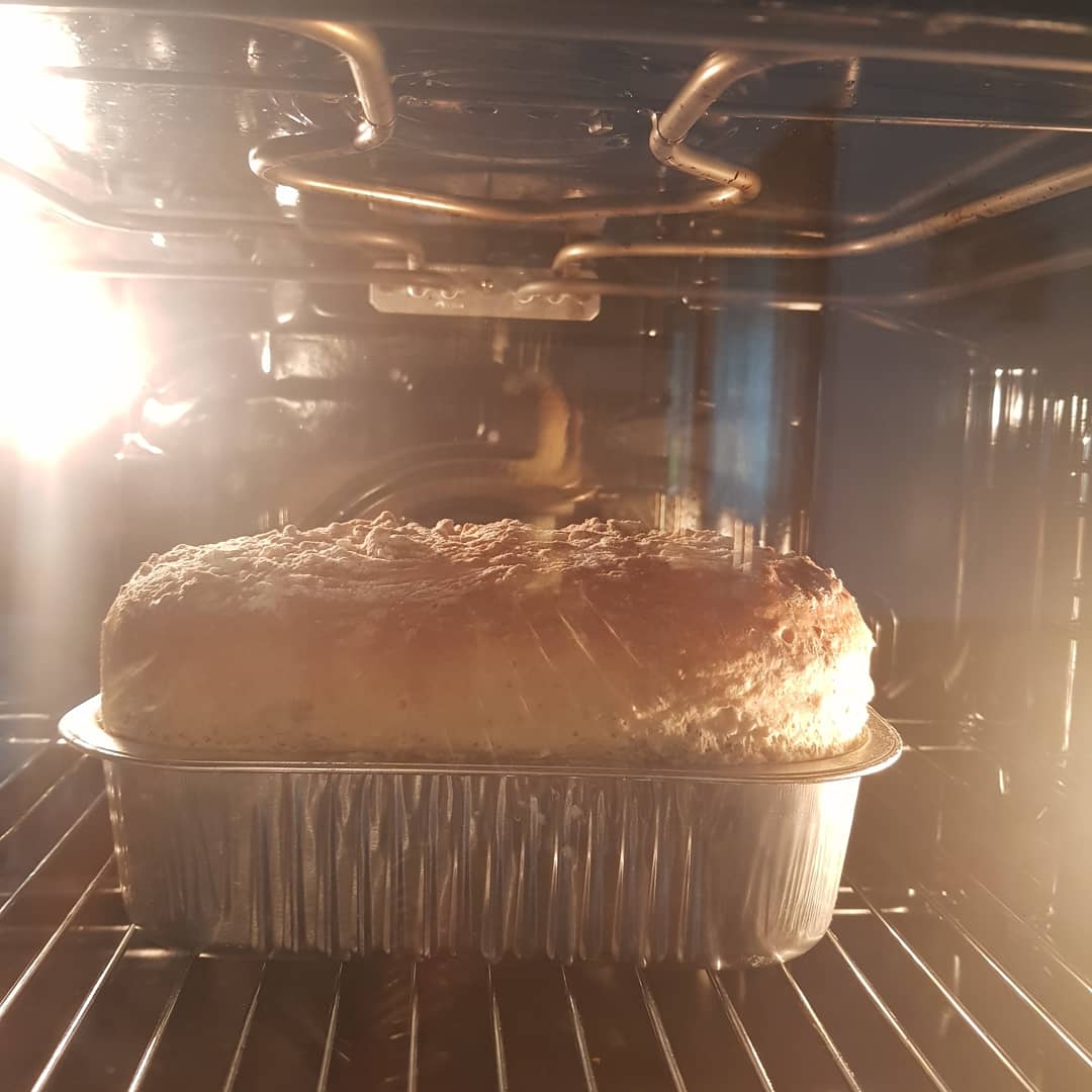 vroswa's tweet image. Homemade sunflower bread
#seedbread
#bread
#Nutbread
#selfmadebread
#healthybread
#Brownbread
#aroma
#lovecooking
#lovebaking
#loveforfood
#crusty
#loafofbread