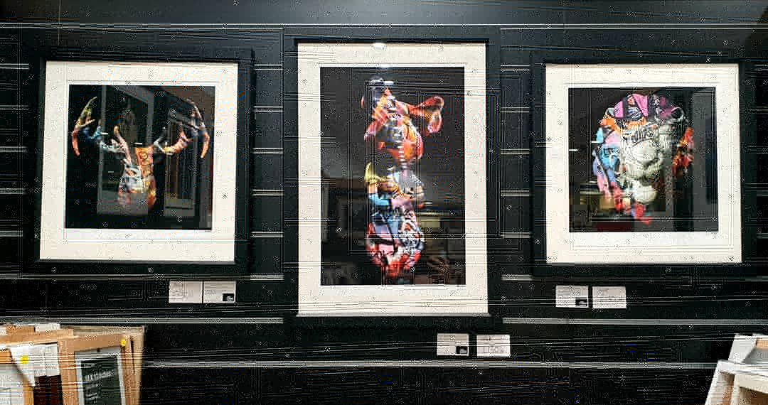 Horsham Framing Centre on Twitter "Did you know MonicaVincent is a