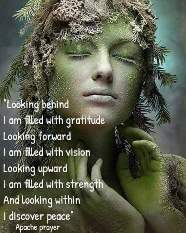 TYHLLC's tweet image. 