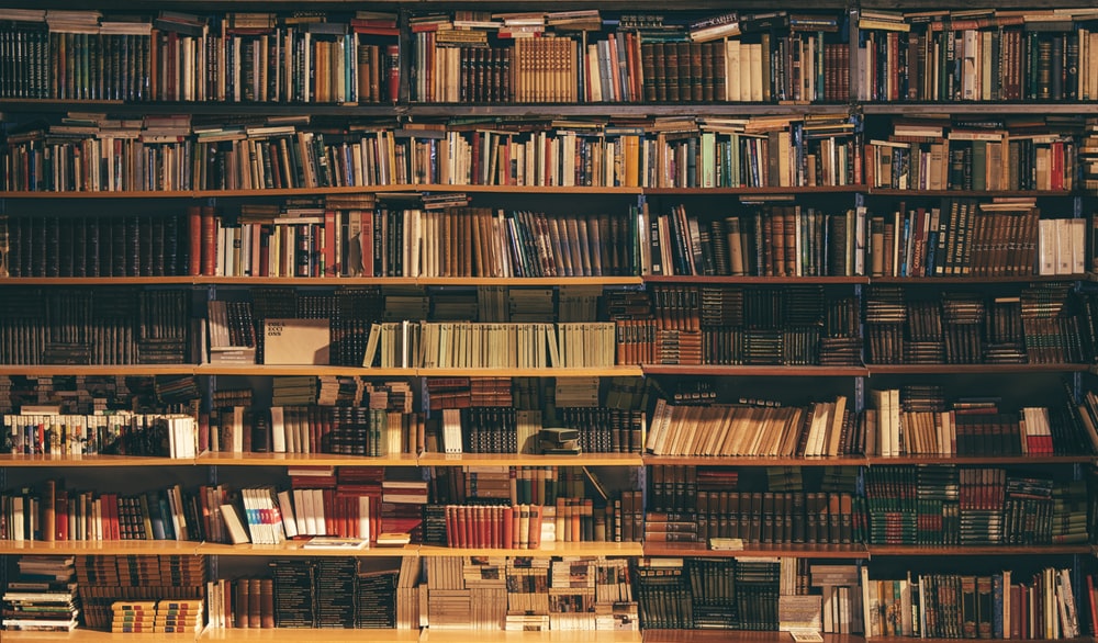 RandSmithLLC's tweet photo. It's a good day to start a new book...but which one? #books #amreading #writingcommunity #library #bookstore #indiepub #publishing #SaturdayThoughts https://t.co/ajNnXG1B9Z