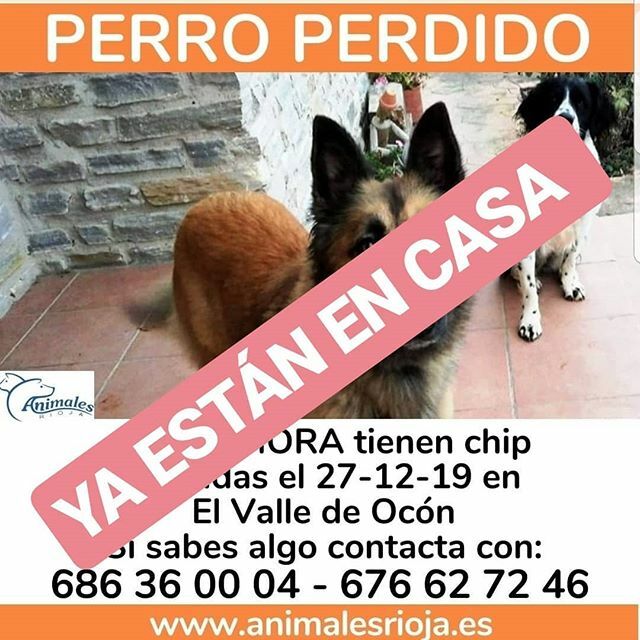 animales_rioja's tweet photo. PERDIDAS EN EL #VALLEDEOCON (#LaRioja)

Estás dos perritas se perdieron el 27-12-19 en el Valle de Con. Se llaman Kira y Mora y tienen chip. 
Si alguien las ha visto o recogido que llame al 
686 36 00 04 o 676 62 72 46. 
Su familia las está buscando https://t.co/IErtgKP9cw https://t.co/CRJN6U5yAJ