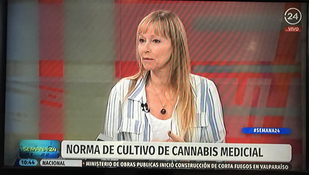 FundacionDaya's tweet photo. Ana Maria Gazmuri en #Semana24 “Como puede ser que se bloquee el primer fitofármaco chileno en base a cannabis dejando a 2.500 pacientes sin su tratamiento y se deje solamente acceso al fármaco importado que cuesta 13 veces más caro” https://t.co/R2cwCVy2Jz