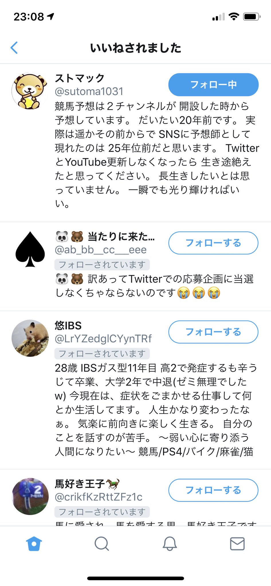 ストマックツイッター競馬