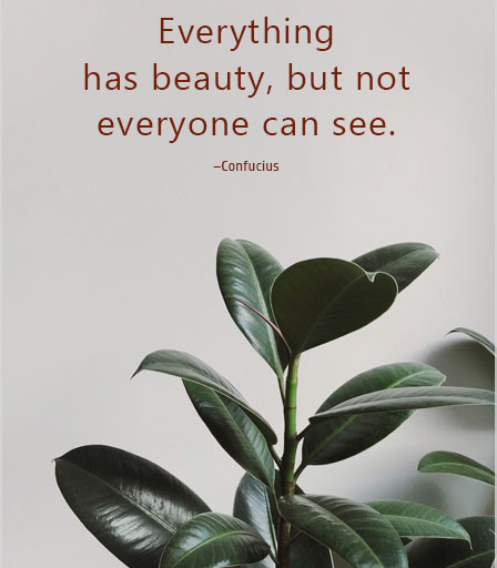 motivation_grid's tweet photo. Everything has beauty, but not everyone can see. –Confucius

#motivation #grid #fitness #photography #love #art #inspiration #nyc #travelphotography https://t.co/a9cRzkegTb