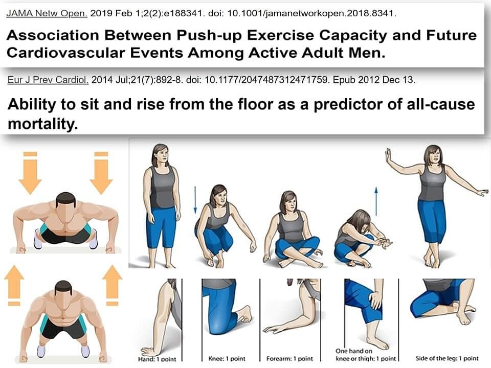 felipeisidro13's tweet photo. Existen pruebas simples y de bajo costo que indican una asociación de MAYOR APTITUD FÍSICA con un MENOR RIESGO CARDIOVASCULAR y una MAYOR LONGEVIDAD.

Por ejemplo estas dos:

1. Realizar más de 40 flexiones de brazos (push-up) vs menos de 10 flexiones.
https://t.co/CVe0cMlHD6 https://t.co/d3czVQHJmj