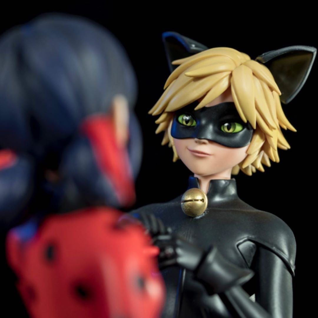 ChatNoir__1's tweet photo. We're so cute together 😻🐞💘
#WithMyLady
#ladybug 
#ladynoir https://t.co/NAhL2cfERD