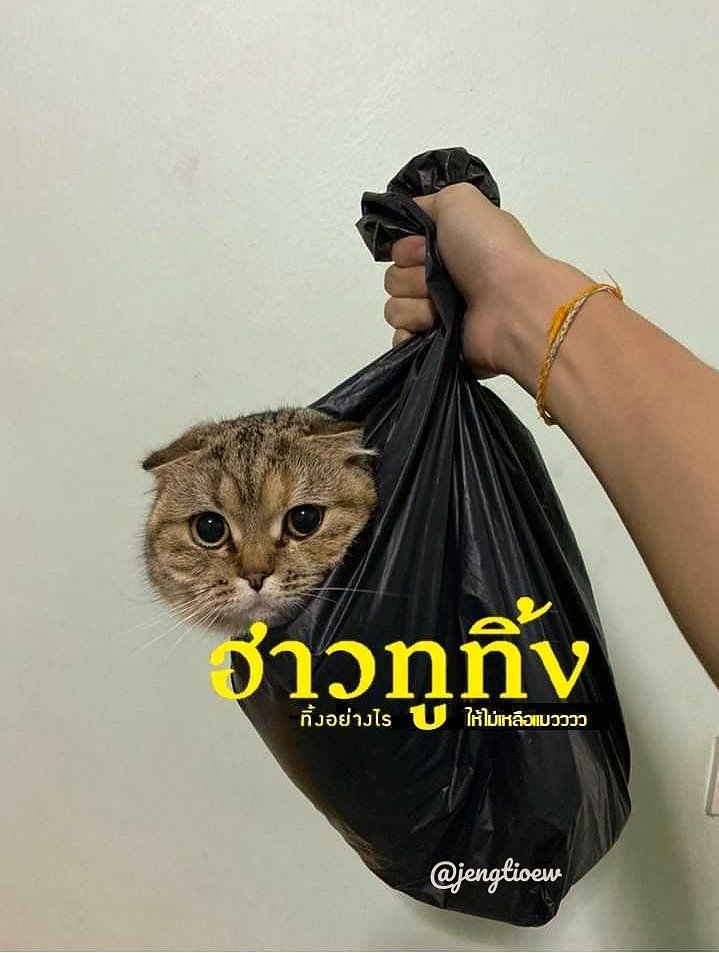 jengtieow's tweet photo. ทิ้งยังไงให้ไม่เหลือแงววววววว https://t.co/ExiQRtp8SW