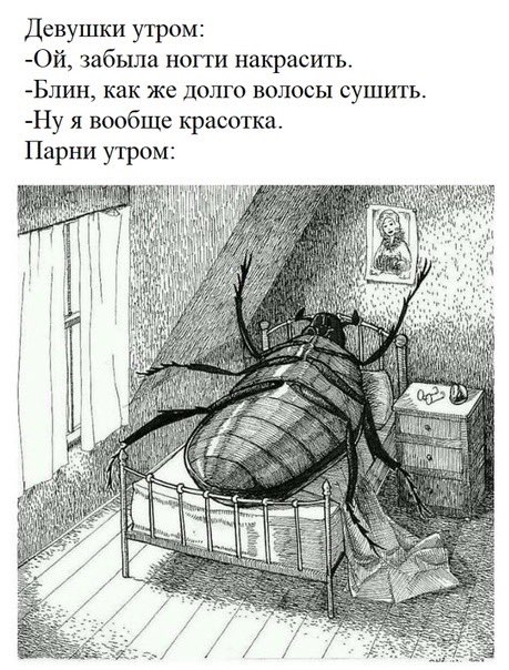 EM4Xq3SXkAIoH4a?format=jpg&name=small