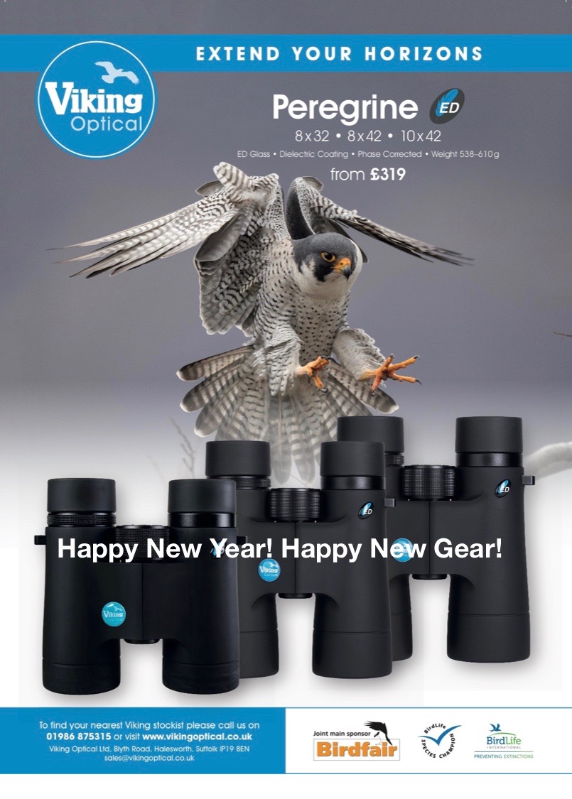 viking peregrine 8x42