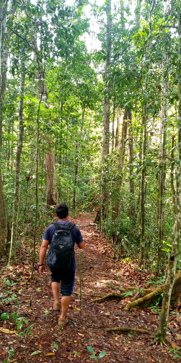 andipetual's tweet photo. @HFiskJohnson @detikTravel 
Borneo_east kalimantan https://t.co/ATXry2EDro