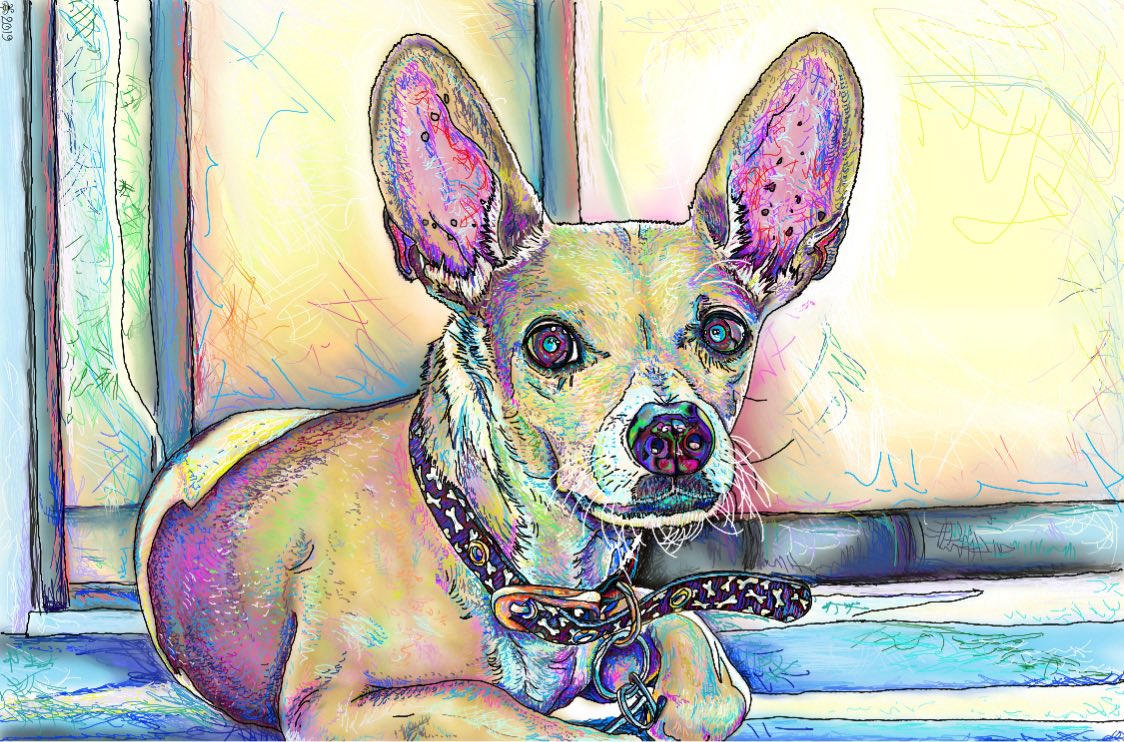 NeFaces's tweet photo. Skippy❤️❤️ #hashtag #chihuahua #dogs #Digitaldrawing #Digitalart #clairetydesign #fancyfacesne #fancyfacesofnewengland #Boston #NewHampshire #NewEngland #Massachusetts #Autodesksketchbook #artistoftwitter https://t.co/PbVY3AYcMa