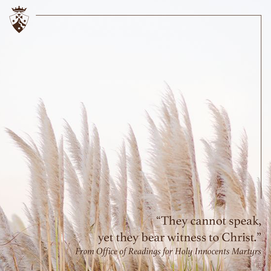 Carmelite Sisters tweet media