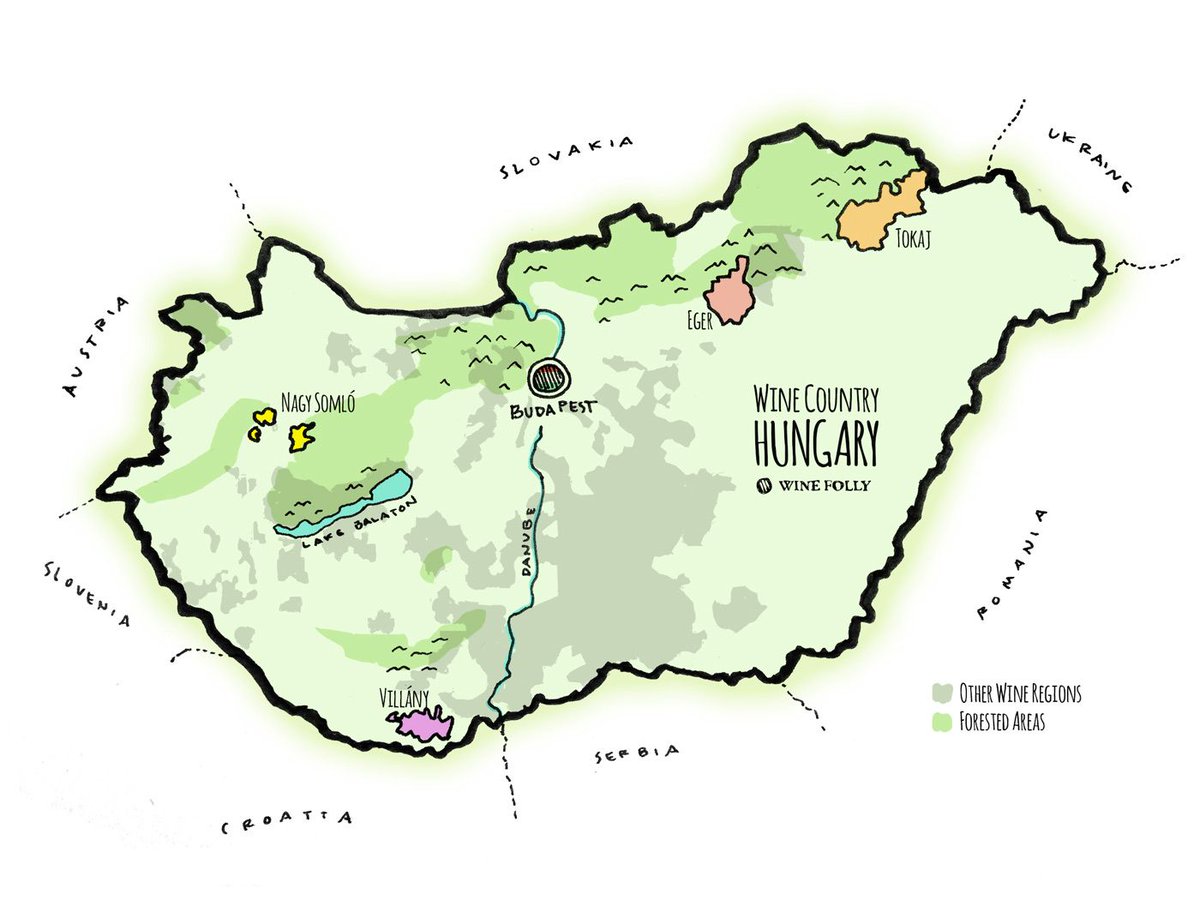 WineFolly's tweet photo. Want to learn more about Hungary? You can get a really great overview of the country’s wines from 4 of its top regions: Eger, Tokaj, Villány and Somló. https://t.co/8jc09aAUdD https://t.co/bOgrEuHVkV