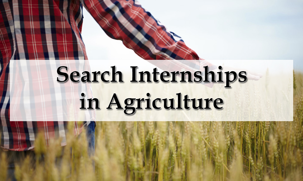 AgHires's tweet image. Browse hundreds of ag internships at aghires.com/internships/. #Internships #AgHires #InternshipSearch