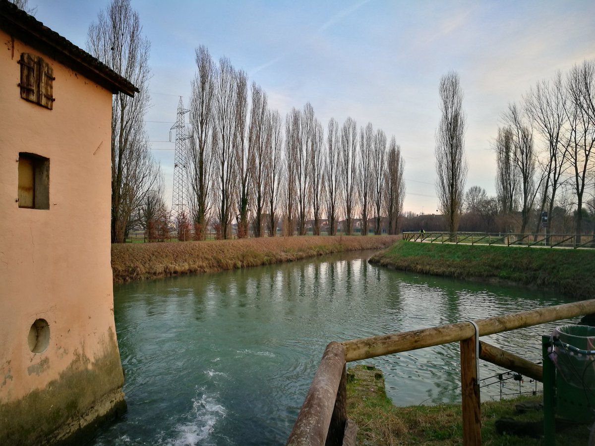 eventicuriosita's tweet photo. Un percorso di 7 km alla scoperta dei quattro mulini ancora esistenti lungo l'argine del fiume Dese.
#veneto #visitveneto #scorze https://t.co/mpGnLZnU7e