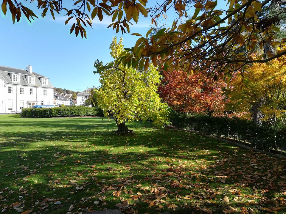 BridgeRch's tweet image. Remember when the skies were blue, the sun was shining brightly and the air was warm? If you would like to enjoy a relaxing break with us next summer and relish in our spectacular gardens, please get in touch 01626 866850 bookings@rch.org.uk #Dawlish #holiday