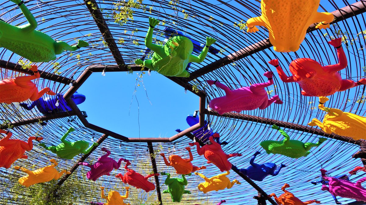 carolcruising's tweet photo. This is the #DesertBotanicalGarden with animals in colorful recycleable plastic. One of the places that make the Phoenix desert special over the Holidays. Also the #TumbleweedTree & the #LightsoftheWorld via @carolcruising https://t.co/gIiSiCSoHN https://t.co/rhALwRsHQh