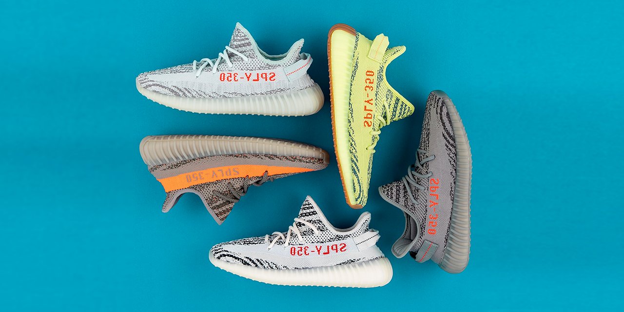 Beluga zebra new arrivals