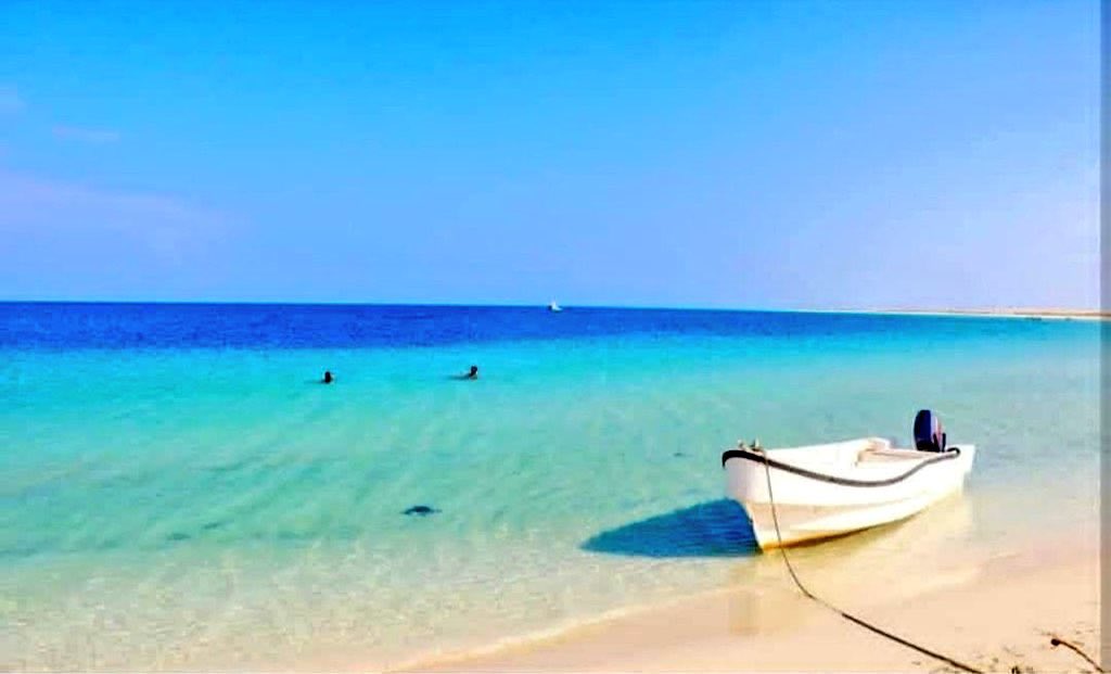 Dr. Serdar Çam tweet media