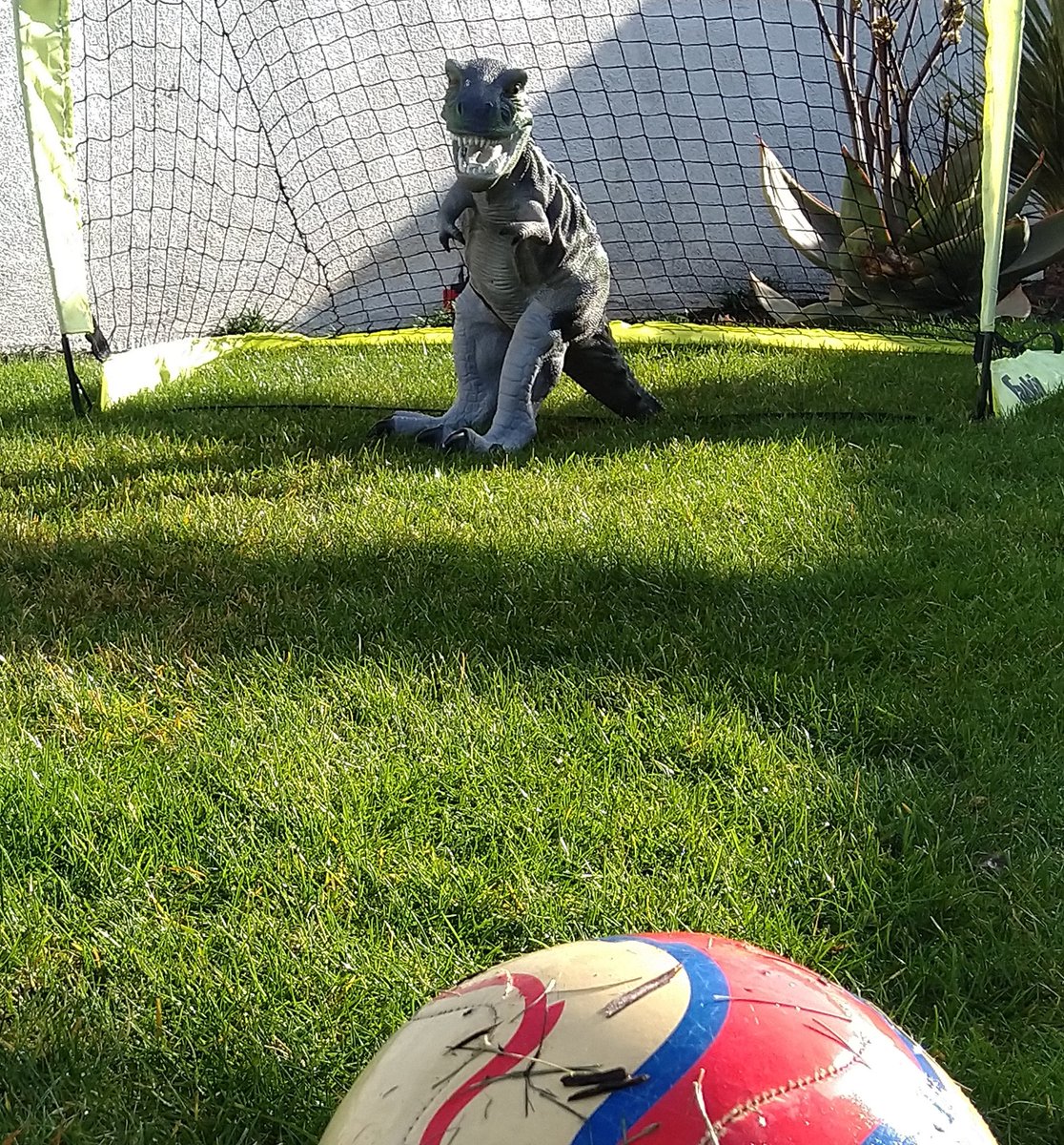 Toon Army Denver tweet media