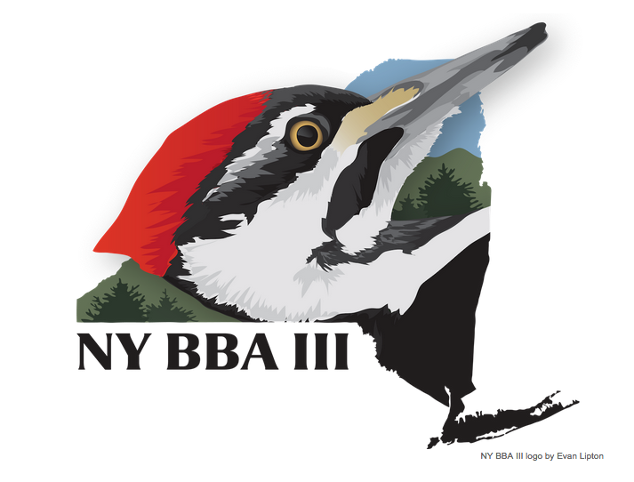 Seiurus's tweet photo. Pretty excited to finally have a chance to contribute to a #BreedingBirdAtlas from my original home, the #EmpireState! https://t.co/DXtMFPzti4
#NYBBAIII https://t.co/SuL1LAg6G2